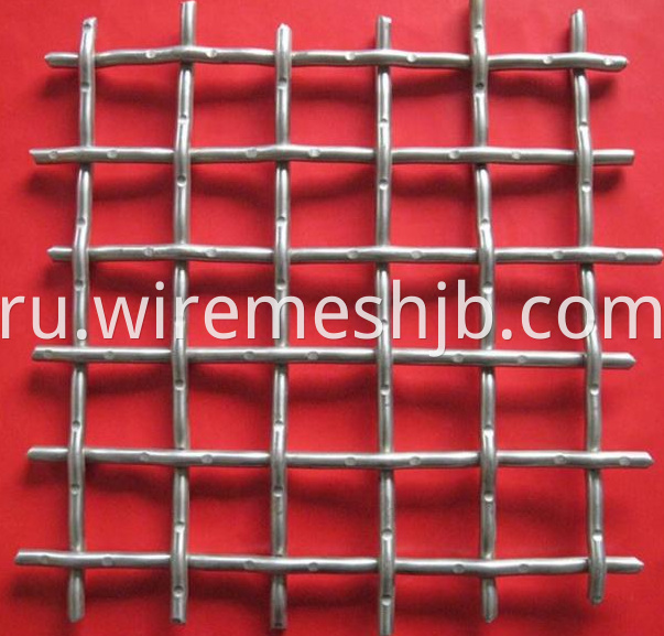 SS Wire Mesh2